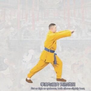 Shaolin five elements boxing